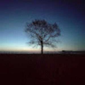 Meet your Posher, Cody